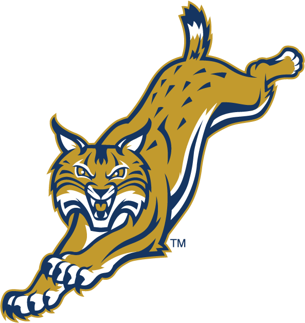 Quinnipiac Bobcats 2002-Pres Alternate Logo v4 diy DTF decal sticker